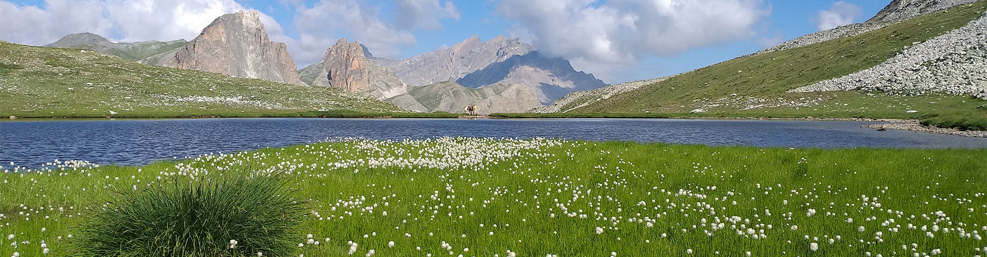 paysage lac de montagne